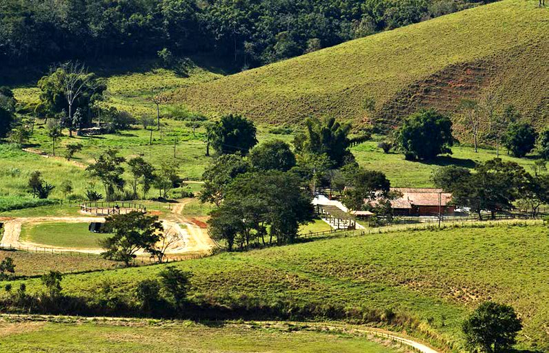 Haras Chiribiribinha — foto 1