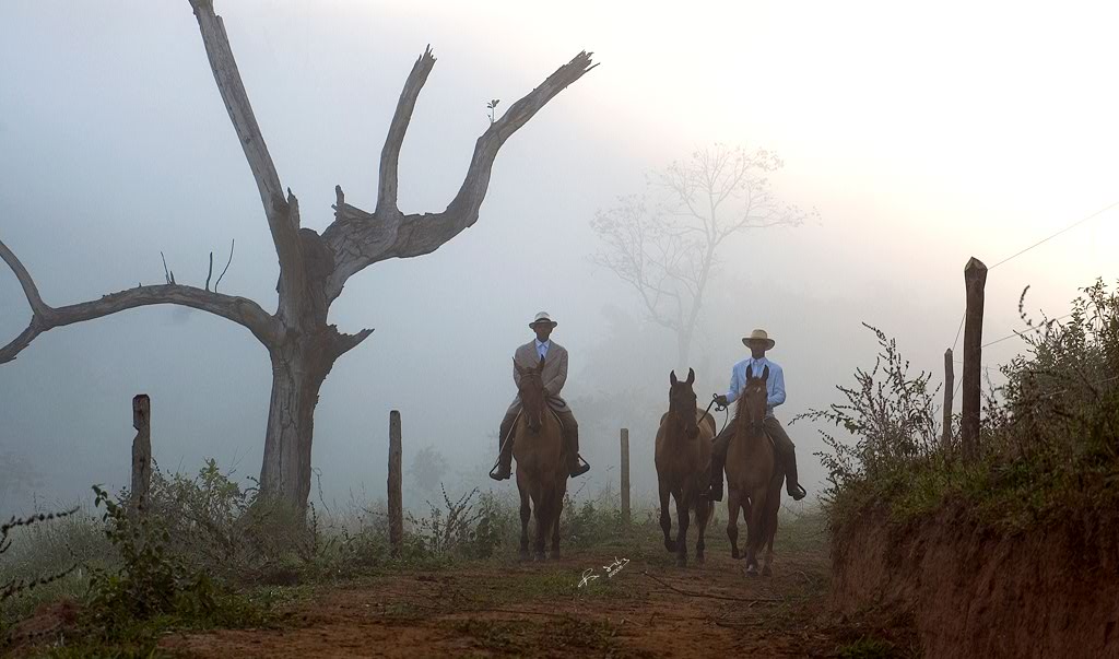 História do Haras